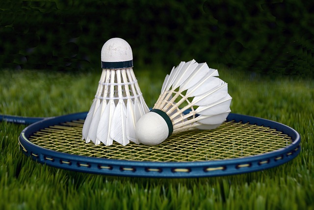 racquet and shuttlecocks